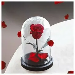 Роза в колбе
